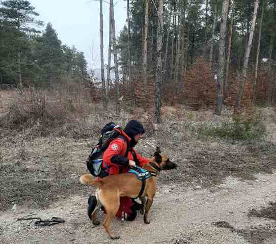  U Livnu održan trening potražnih timova sa psima na kojem su sudjelovali i timovi GSS Žepče