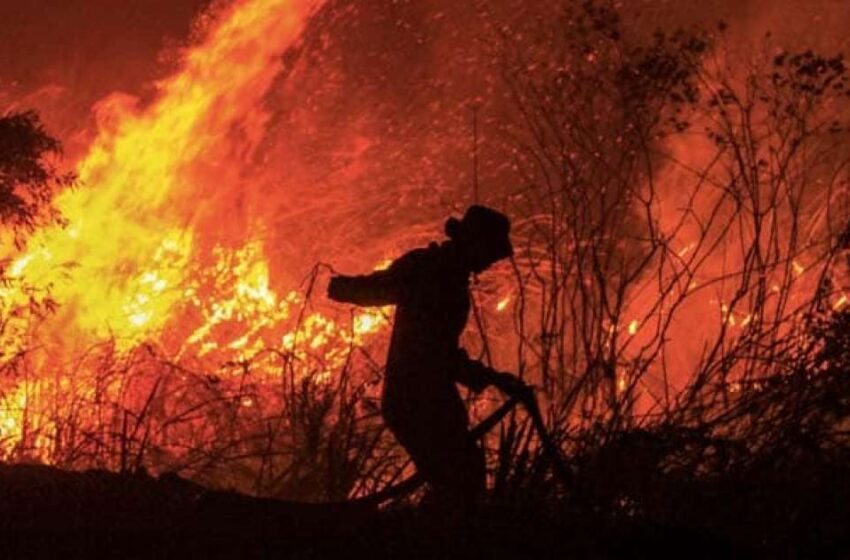  ZDK – Upozorenje: Nije dozvoljeno loženje otvorene vatre u šumama na šumskom zemljištu 