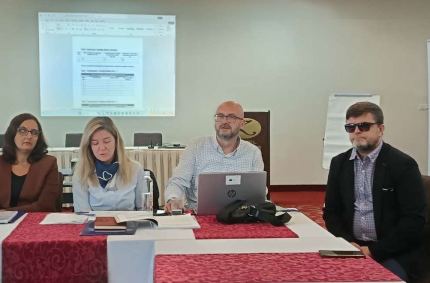  Sustavna rješenja i pristupačnost glavni su strateški ciljevi Koalicije osoba s invaliditetom ZDK