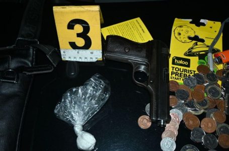 Policija u ZDK izvršenim pretresima pronašla više od 5 kg opojne droge i oružje